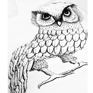 Ooh Noo-Pensive Owl Twin Duvet on Design Life Kids