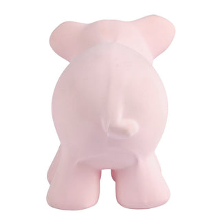Tikiri Toys-Pig Bath Toy Rattle on Design Life Kids