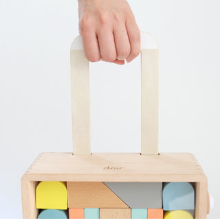 Dou Toys-Carry Me Building Blocks on Design Life Kids