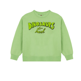Fresh Dinosaurs Sweatshirt ON DLK