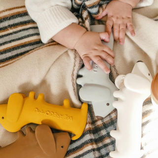 Gommu Dog Teether Toys on Design Life Kids