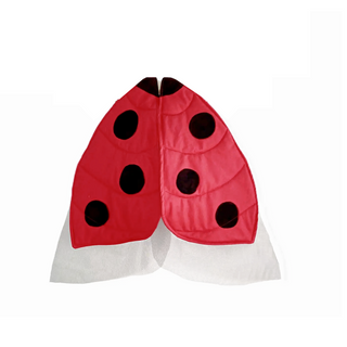 Ladybug Wings Costume on Design Life  Kids