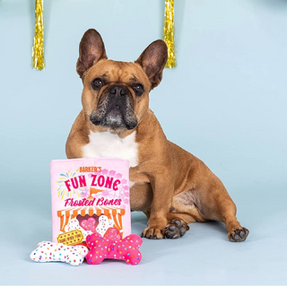 Fun Zone Bones Dog Toy