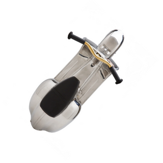 Deluxe Stainless Steel Ride-On Push Scooter on DLK
