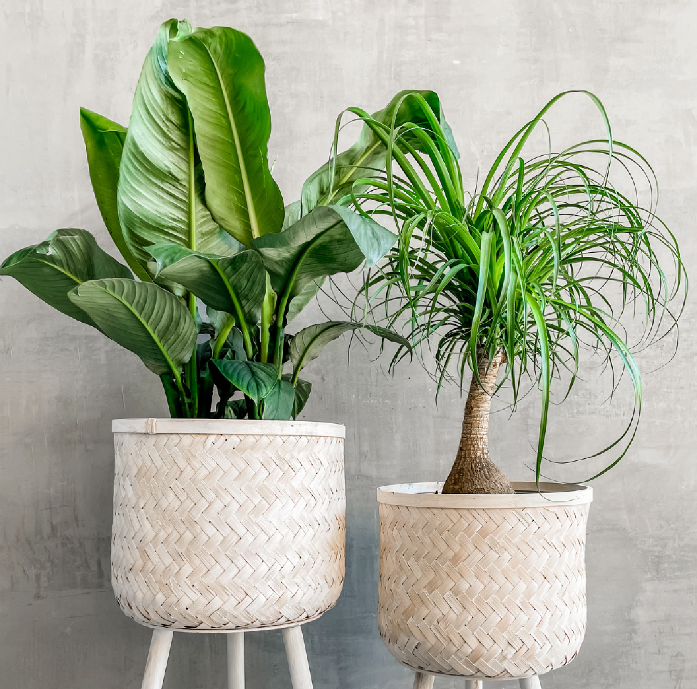 woven bamboo plant Bamboo Basket with Legs Large