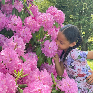 Romey Loves Lulu-Roses Skater Dress on Design Life Kids