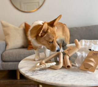 Wild One-Twist Toss Dog Toy on Design Life Kids