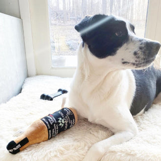 Tequila Dog Toy on Design Life Kids